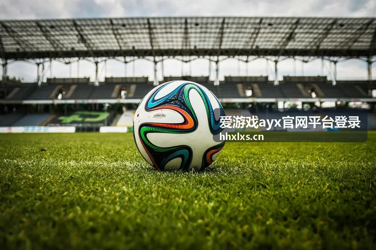 爱游戏ayx官网平台登录完成后的状态检查界面
